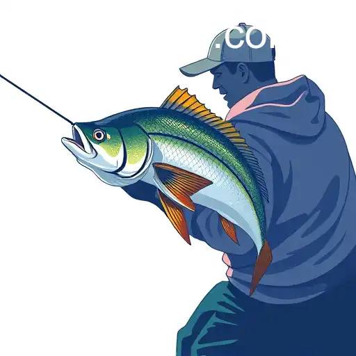 Pesca online